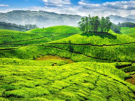 Hillstation Packages Travels in Tirupsti