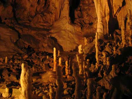 Cabs in Tirupati