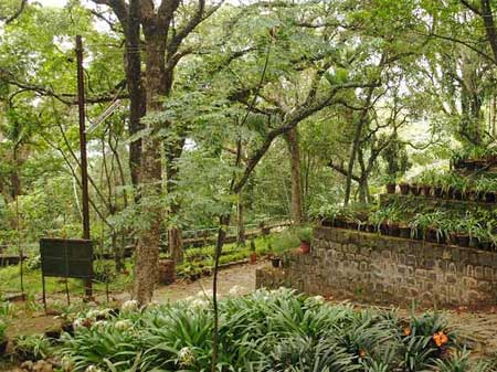 Cabs in Tirupati