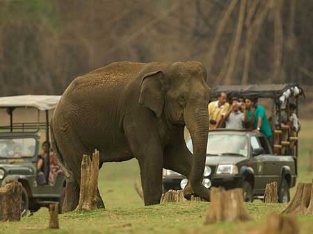 Cabs in Tirupati