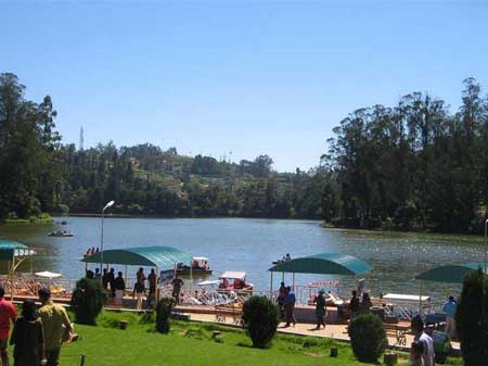 Ooty Travels From Tirupati